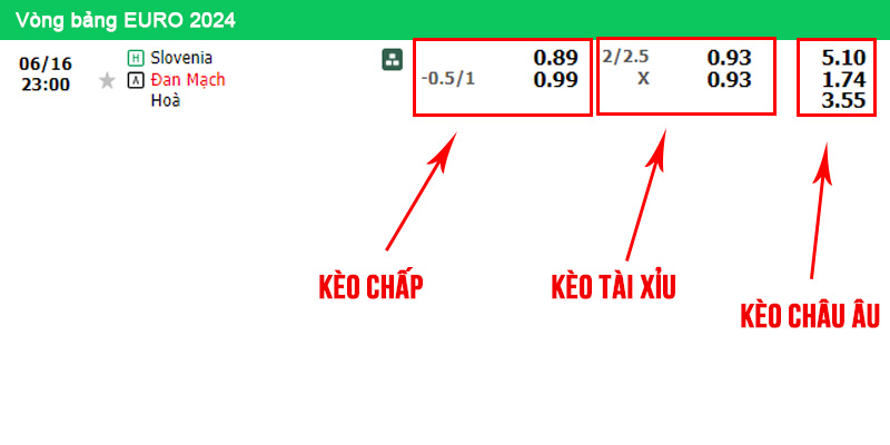 Bảng kèo trận đấu Slovenia vs Đan Mạch tại bảng C EURO 2024
