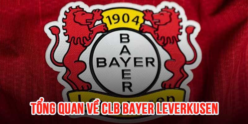 Tổng quan về Bayer Leverkusen